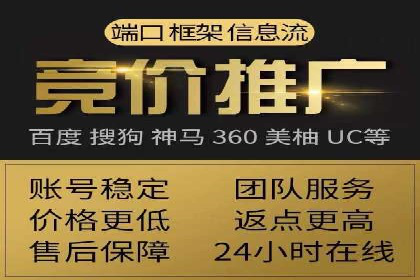 SEM搜索引擎优化策略解析与应用案例
